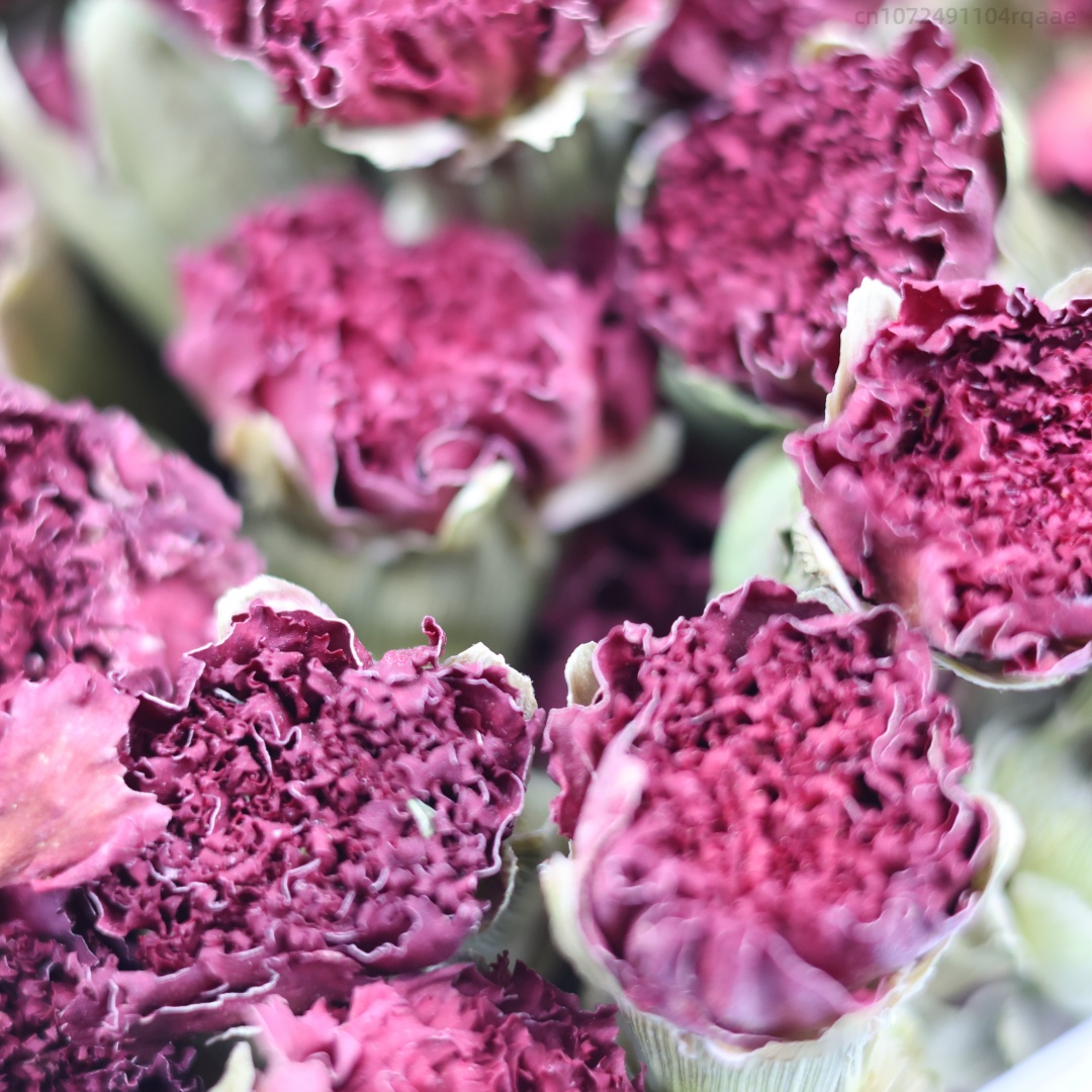 Potpourri Dried Flower - 250g/500g Premium Natuurlijke Anjer Gedroogde Bloemen