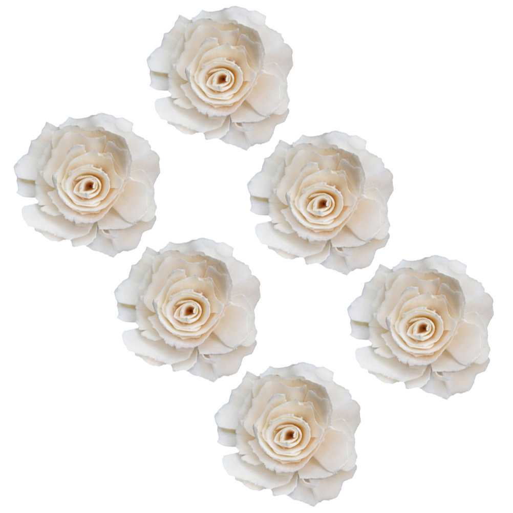 Home Fragrance Natural - 6 stuks natuurlijke handgemaakte diffuserbloemen, vuurvrije