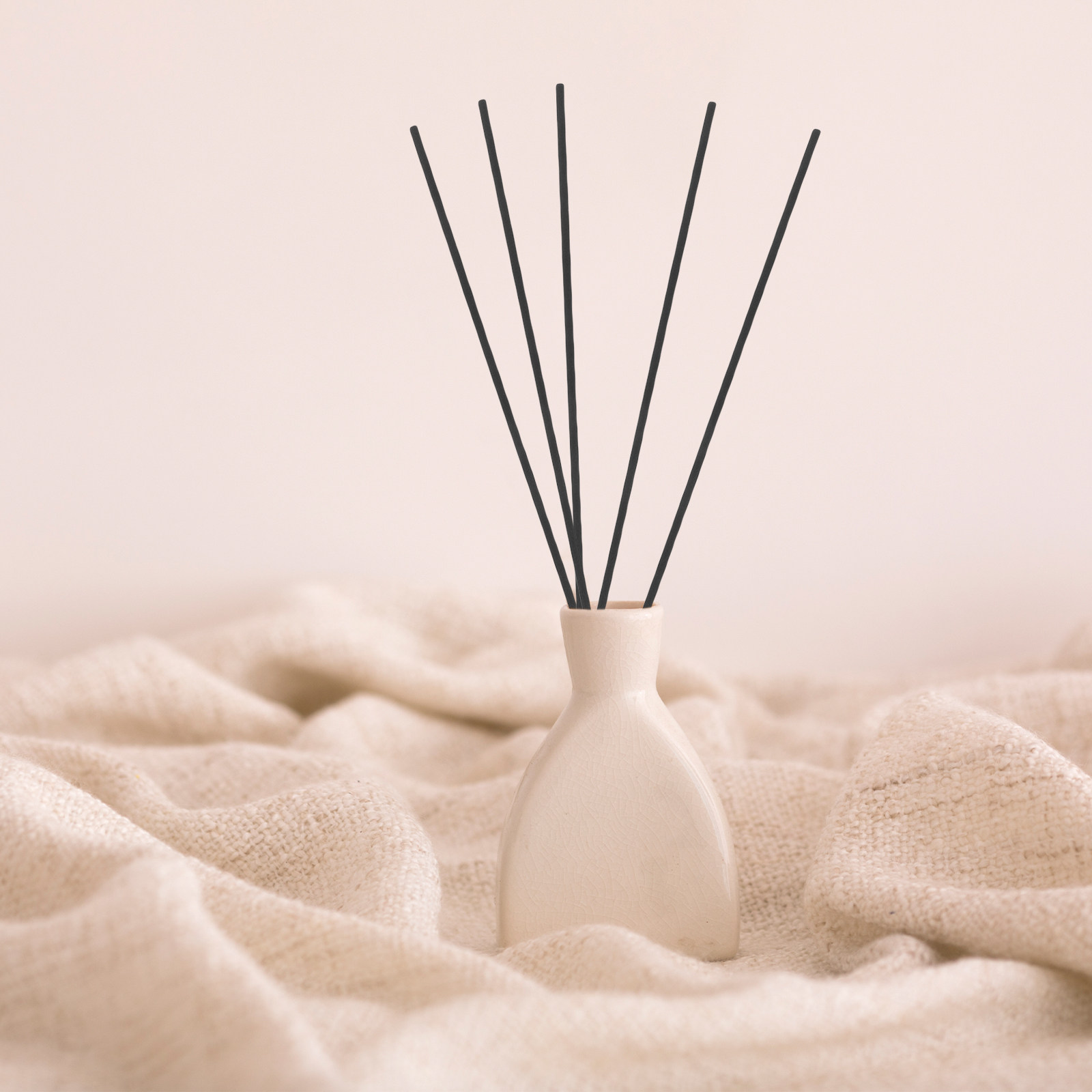 Home Fragrance Diffuser Sticks - 100 Stuks Vezel Riet Diffuser Sticks