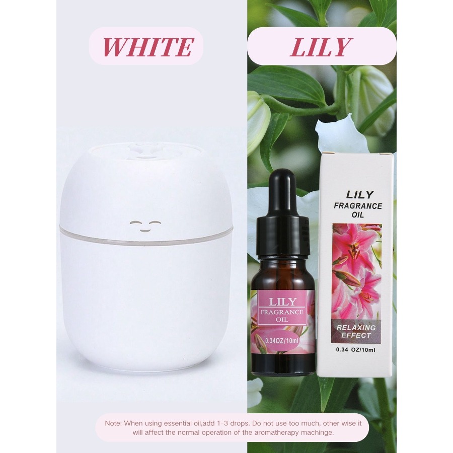220ML USB Mini Aroma Diffuser  - Car Vent Diffuser recensie en prijs
