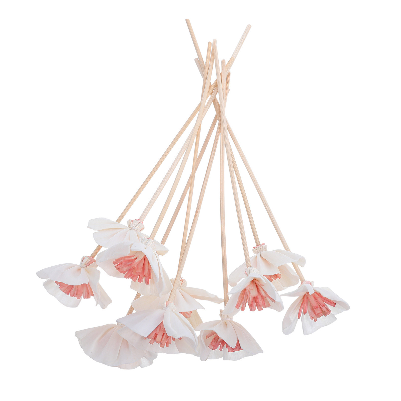 10 stuks etherische olie diffu - Home Fragrance Diffuser Sticks recensie en prijs