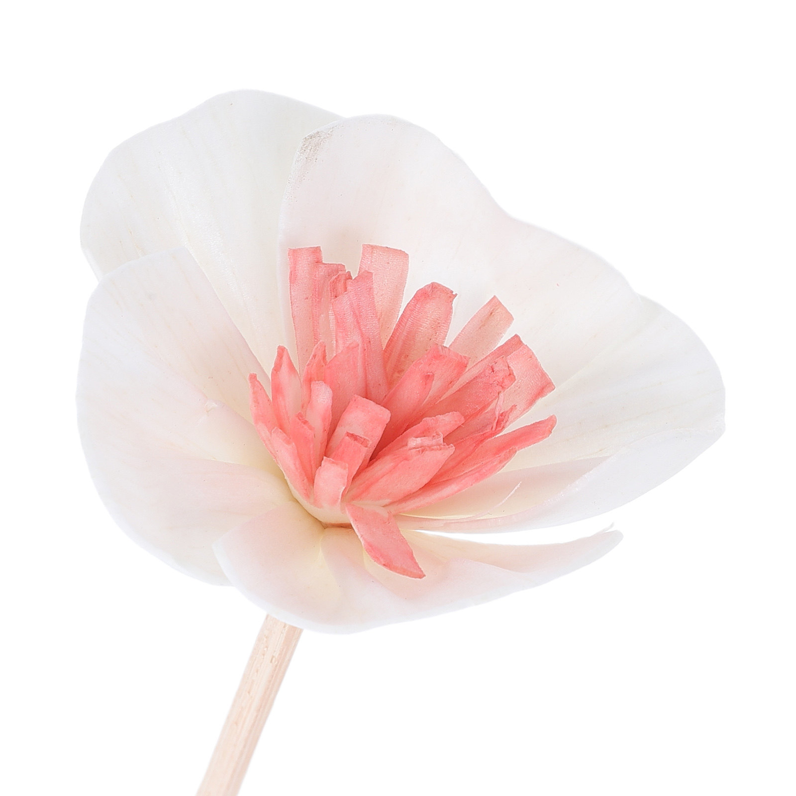 10 stuks etherische olie diffu - Home Fragrance Diffuser Sticks recensie en prijs
